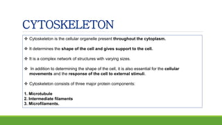 CYTOSKELETON
 Cytoskeleton is the cellular organelle present throughout the cytoplasm.
 It determines the shape of the cell and gives support to the cell.
 It is a complex network of structures with varying sizes.
 In addition to determining the shape of the cell, it is also essential for the cellular
movements and the response of the cell to external stimuli.
 Cytoskeleton consists of three major protein components:
1. Microtubule
2. Intermediate filaments
3. Microfilaments.
 