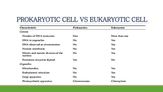 PROKARYOTIC CELL VS EUKARYOTIC CELL
 
