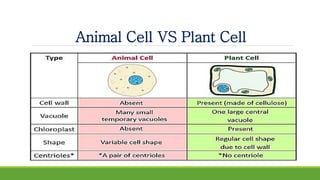 Animal Cell VS Plant Cell
 