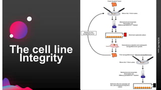 The cell line
Integrity
 