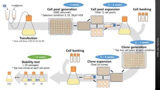 The cell line integrity | PPTX