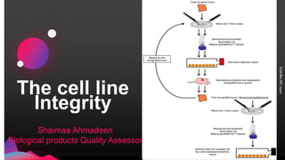 The cell line
Integrity
Shaimaa Ahmadeen
Biological products Quality Assessor
 