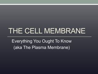 THE CELL MEMBRANE 
Everything You Ought To Know 
(aka The Plasma Membrane) 
 