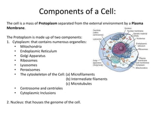 Components of a Cell:
The cell is a mass of Protoplasm separated from the external environment by a Plasma
Membrane.
The Protoplasm is made up of two components:
1. Cytoplasm: that contains numerous organelles:
• Mitochondria
• Endoplasmic Reticulum
• Golgi Apparatus
• Ribosomes
• Lysosomes
• Peroxisomes
• The cytoskeleton of the Cell: (a) Microfilaments
(b) Intermediate filaments
(c) Microtubules
• Centrosome and centrioles
• Cytoplasmic Inclusions
2. Nucleus: that houses the genome of the cell.
 