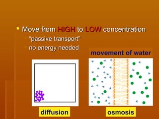  Move fromMove from HIGHHIGH toto LOWLOW concentrationconcentration
 ““passive transport”passive transport”
 no energy neededno energy needed
diffusion osmosis
movement of water
 