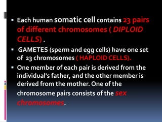  Each human somatic cell contains 23 pairs
  of different chromosomes ( DIPLOID
  CELLS) .
 GAMETES (sperm and egg cells) have one set
  of 23 chromosomes ( HAPLOID CELLS).
 One member of each pair is derived from the
  individual's father, and the other member is
  derived from the mother. One of the
  chromosome pairs consists of the sex
  chromosomes.
 