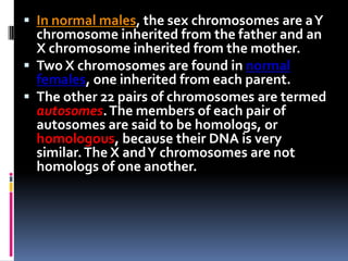  In normal males, the sex chromosomes are a Y
  chromosome inherited from the father and an
  X chromosome inherited from the mother.
 Two X chromosomes are found in normal
  females, one inherited from each parent.
 The other 22 pairs of chromosomes are termed
  autosomes. The members of each pair of
  autosomes are said to be homologs, or
  homologous, because their DNA is very
  similar. The X and Y chromosomes are not
  homologs of one another.
 