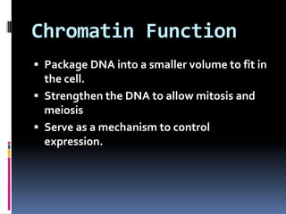 Chromatin Function
 Package DNA into a smaller volume to fit in
  the cell.
 Strengthen the DNA to allow mitosis and
  meiosis
 Serve as a mechanism to control
  expression.
 