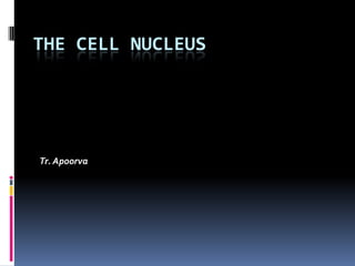 THE CELL NUCLEUS




Tr. Apoorva
 