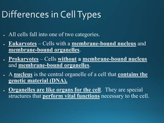 ● All cells fall into one of two categories.
● Eukaryotes – Cells with a membrane-bound nucleus and
membrane-bound organelles.
● Prokaryotes – Cells without a membrane-bound nucleus
and membrane-bound organelles.
● A nucleus is the central organelle of a cell that contains the
genetic material (DNA).
● Organelles are like organs for the cell. They are special
structures that perform vital functions necessary to the cell.
 