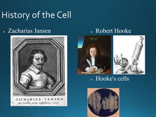 ● Zacharias Jansen ● Robert Hooke
● Hooke's cells
 
