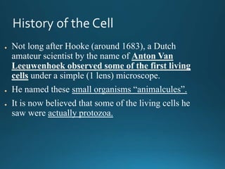 ● Not long after Hooke (around 1683), a Dutch
amateur scientist by the name of Anton Van
Leeuwenhoek observed some of the first living
cells under a simple (1 lens) microscope.
● He named these small organisms “animalcules”.
● It is now believed that some of the living cells he
saw were actually protozoa.
 