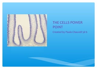 THE CELLS POWER
POINT
Created by Paula Chauvell 5è b
 