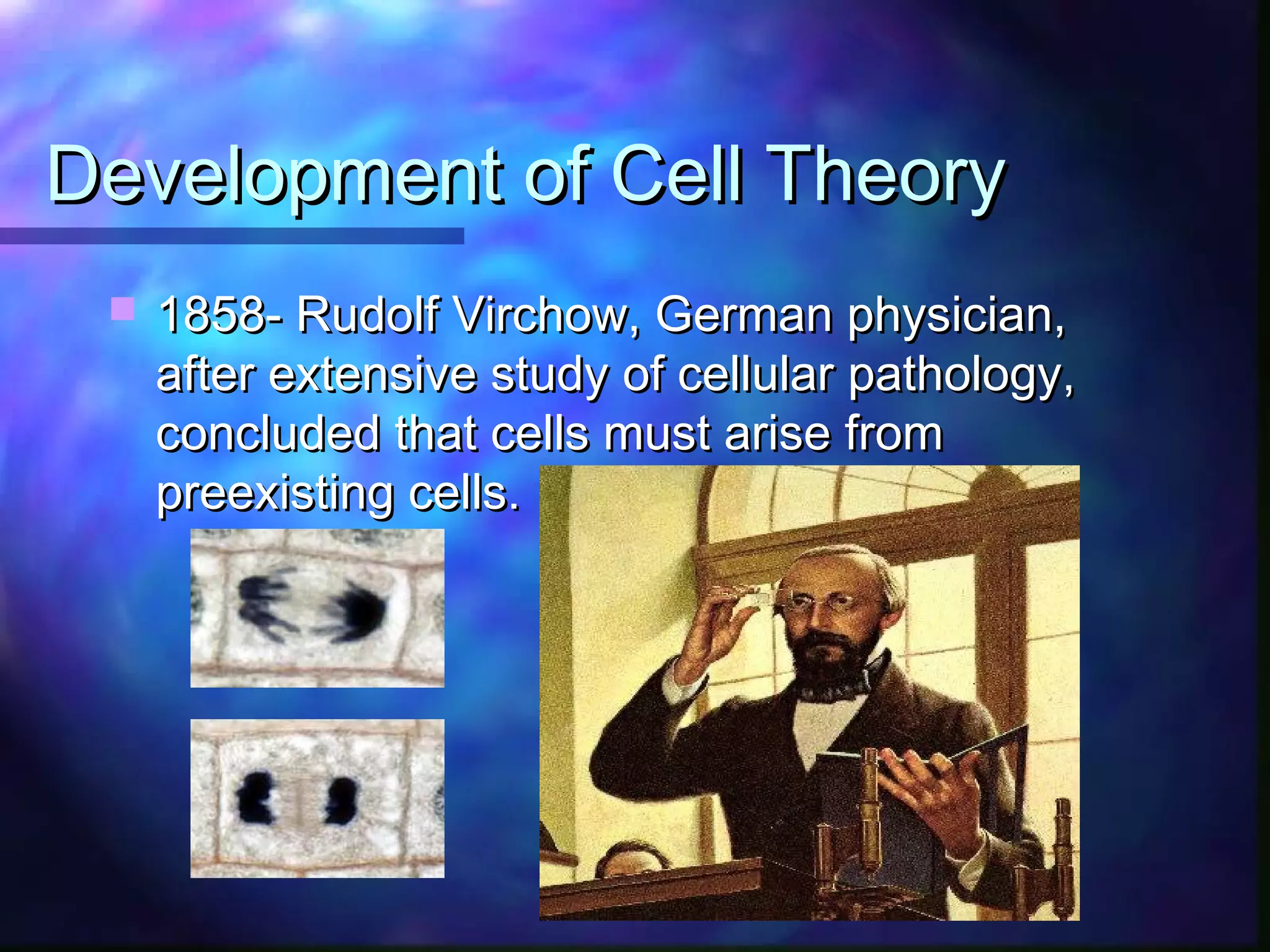 Development of Cell Theory
    1858- Rudolf Virchow, German physician,
     after extensive study of cellular pathology,
     concluded that cells must arise from
     preexisting cells.
 