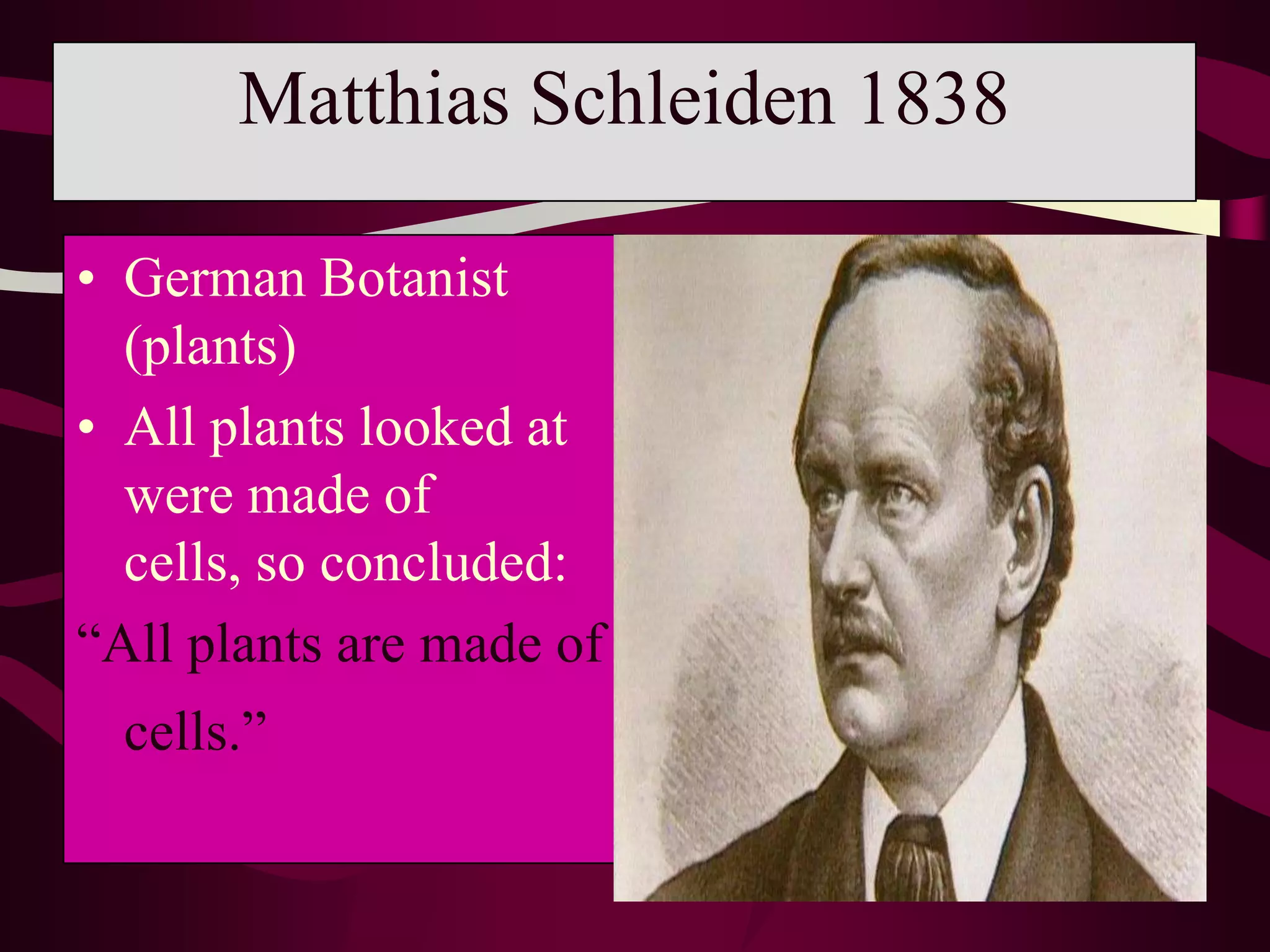 Called tiny chambers “cells”1673Leeuwenhoek 