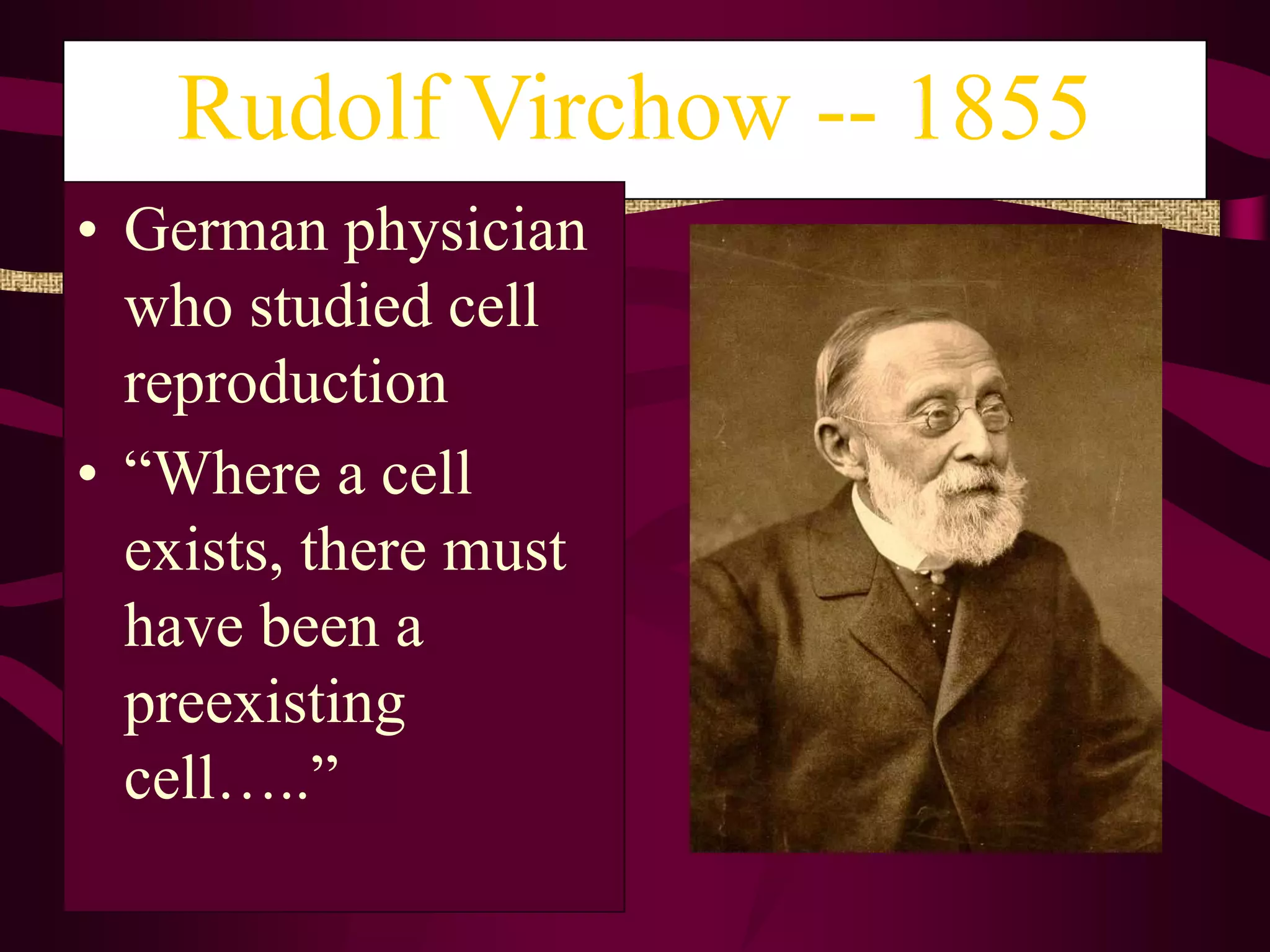 First to see living microscopic orgs