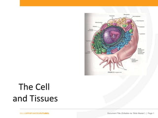 The Cell
and Tissues
Document Title (Editable via ‘Slide Master’) | Page 1

 