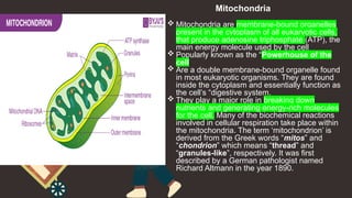 The Cellular basis of life powerpoint level 1 | PPTX