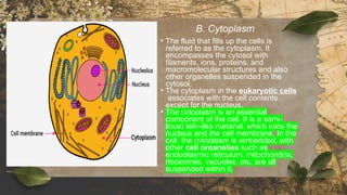 The Cellular basis of life powerpoint level 1 | PPTX