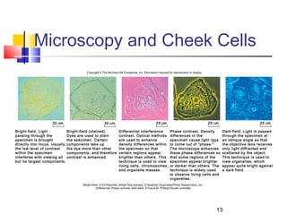 Microscopy and Cheek Cells
                                       Copyright © The McGraw-Hill Companies, Inc. Permission required for reproduction or display.




                    30 m                             30 m                                       25 m                                       25 m                       25 m

Bright-field. Light           Bright-field (stained).            Differential interference                  Phase contrast. Density               Dark-field. Light is passed
passing through the           Dyes are used to stain             contrast. Optical methods                  differences in the                    through the specimen at
specimen is brought           the specimen. Certain              are used to enhance                        specimen cause light rays             an oblique angle so that
directly into focus. Usually, components take up                 density differences within                 to come out of “phase.”               the objective lens receives
the low level of contrast     the dye more than other            the specimen so that                       The microscope enhances               only light diffracted and
within the specimen           components, and therefore          certain regions appear                     these phase differences so            scattered by the object.
interferes with viewing all contrast is enhanced.                brighter than others. This                 that some regions of the              This technique is used to
but its largest components.                                      technique is used to view                  specimen appear brighter              view organelles, which
                                                                 living cells, chromosomes,                 or darker than others. The            appear quite bright against
                                                                 and organelle masses.                      technique is widely used              a dark field.
                                                                                                            to observe living cells and
                                                                                                            organelles.
                                    (Bright field): © Ed Reschke; (Bright field stained): © Biophoto Associates/Photo Researchers, Inc.;
                                                (Differential, Phase contrast, Dark field): © David M. Phillips/Visuals Unlimited




                                                                                                                                              13
 