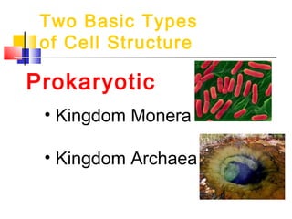 Two Basic Types
 of Cell Structure

Prokaryotic
 • Kingdom Monera

 • Kingdom Archaea
 