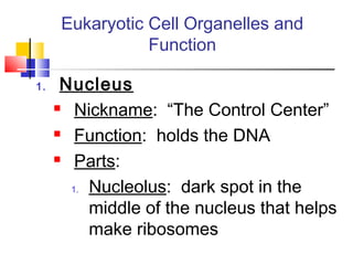 Eukaryotic Cell Organelles and
                Function

1.    Nucleus
      Nickname: “The Control Center”

      Function: holds the DNA

      Parts:


       1. Nucleolus: dark spot in the

          middle of the nucleus that helps
          make ribosomes
 