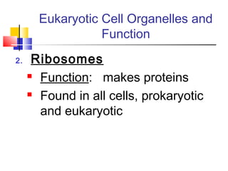 Eukaryotic Cell Organelles and
                  Function
2.    Ribosomes
      Function:  makes proteins
      Found in all cells, prokaryotic

       and eukaryotic
 