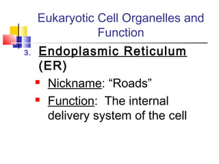Eukaryotic Cell Organelles and
                Function
3.    Endoplasmic Reticulum
      (ER)
      Nickname: “Roads”

      Function: The internal

       delivery system of the cell
 