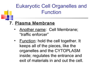 Eukaryotic Cell Organelles and
             Function

7. Plasma Membrane
 • Another name: Cell Membrane;
   “traffic enforcer”
 • Function: hold the cell together. It
   keeps all of the pieces, like the
   organelles and the CYTOPLASM
   inside; regulates the entrance and
   exit of materials in and out the cell.
 