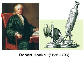 Robert Hooke (1635-1703)
 