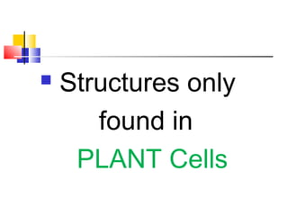    Structures only
       found in
     PLANT Cells
 