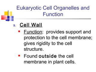 Eukaryotic Cell Organelles and
                Function
9.    Cell Wall
      Function: provides support and

       protection to the cell membrane;
       gives rigidity to the cell
       structure.
      Found outside the cell

       membrane in plant cells.
 