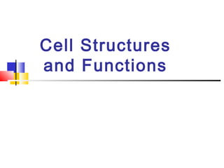 Cell Structures
and Functions
 