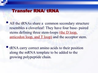 The Cental Dogma.ppt of molecular biology | PPT