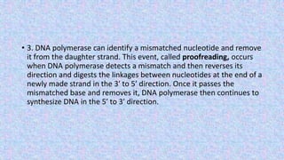 • 3. DNA polymerase can identify a mismatched nucleotide and remove
it from the daughter strand. This event, called proofreading, occurs
when DNA polymerase detects a mismatch and then reverses its
direction and digests the linkages between nucleotides at the end of a
newly made strand in the 3ʹ to 5ʹ direction. Once it passes the
mismatched base and removes it, DNA polymerase then continues to
synthesize DNA in the 5ʹ to 3ʹ direction.
 