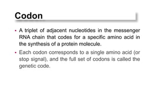 The Central Dogma: An Introduction | PPTX