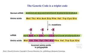 Triplet Coding The Central Dogma: An Introduction | PPTX