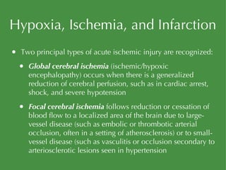 Hypoxia, Ischemia, and Infarction Two principal types of acute ischemic injury are recognized: Global cerebral ischemia  (ischemic/hypoxic encephalopathy) occurs when there is a generalized reduction of cerebral perfusion, such as in cardiac arrest, shock, and severe hypotension Focal cerebral ischemia  follows reduction or cessation of blood flow to a localized area of the brain due to large-vessel disease (such as embolic or thrombotic arterial occlusion, often in a setting of atherosclerosis) or to small-vessel disease (such as vasculitis or occlusion secondary to arteriosclerotic lesions seen in hypertension 