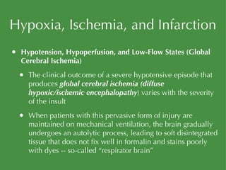 Hypoxia, Ischemia, and Infarction Hypotension, Hypoperfusion, and Low-Flow States (Global Cerebral Ischemia) The clinical outcome of a severe hypotensive episode that produces  global cerebral ischemia (diffuse hypoxic/ischemic encephalopathy ) varies with the severity of the insult When patients with this pervasive form of injury are maintained on mechanical ventilation, the brain gradually undergoes an autolytic process, leading to soft disintegrated tissue that does not fix well in formalin and stains poorly with dyes -- so-called “respirator brain” 