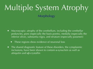 Multiple System Atrophy Macroscopic: atrophy of the cerebellum, including the cerebellar peduncles, pons (especially the basis pontis), medulla (especially the inferior olive), substantia nigra, and striatum (especially putamen) These regions show evidence of neuronal loss The shared diagnostic feature of these disorders, the cytoplasmic inclusions, have been shown to contain α-synuclein as well as ubiquitin and αβ-crystallin Morphology 