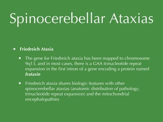Spinocerebellar Ataxias Friedreich Ataxia The gene for Friedreich ataxia has been mapped to chromosome 9q13, and in most cases, there is a GAA trinucleotide repeat expansion in the first intron of a gene encoding a protein named  frataxin Friedreich ataxia shares biologic features with other spinocerebellar ataxias (anatomic distribution of pathology, trinucleotide repeat expansion) and the mitochondrial encephalopathies 