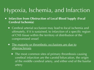 Hypoxia, Ischemia, and Infarction Infarction from Obstruction of Local Blood Supply (Focal Cerebral Ischemia) Cerebral arterial occlusion may lead to focal ischemia and ultimately, if it is sustained, to infarction of a specific region of CNS tissue within the territory of distribution of the compromised vessel The majority or thrombotic occlusions are due to atherosclerosis The most common sites of primary thrombosis causing cerebral infarction are the carotid bifurcation, the origin of the middle cerebral artery, and either end of the basilar artery 