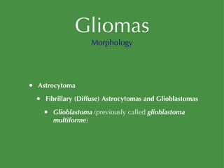 Gliomas Astrocytoma Fibrillary (Diffuse) Astrocytomas and Glioblastomas Glioblastoma  (previously called  glioblastoma multiforme ) Morphology 
