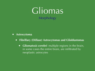 Gliomas Astrocytoma Fibrillary (Diffuse) Astrocytomas and Glioblastomas Gliomatosis cerebri : multiple regions in the brain, in some cases the entire brain, are infiltrated by neoplastic astrocytes Morphology 