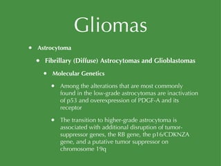 Gliomas Astrocytoma Fibrillary (Diffuse) Astrocytomas and Glioblastomas Molecular Genetics Among the alterations that are most commonly found in the low-grade astrocytomas are inactivation of p53 and overexpression of PDGF-A and its receptor The transition to higher-grade astrocytoma is associated with additional disruption of tumor-suppressor genes, the RB gene, the p16/CDKNZA gene, and a putative tumor suppressor on chromosome 19q 