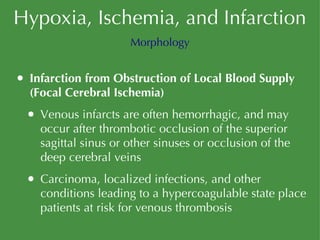 Hypoxia, Ischemia, and Infarction Infarction from Obstruction of Local Blood Supply (Focal Cerebral Ischemia) Venous infarcts are often hemorrhagic, and may occur after thrombotic occlusion of the superior sagittal sinus or other sinuses or occlusion of the deep cerebral veins Carcinoma, localized infections, and other conditions leading to a hypercoagulable state place patients at risk for venous thrombosis Morphology 