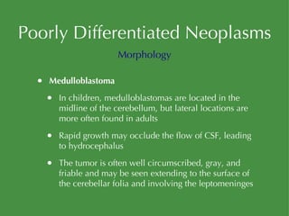 Poorly Differentiated Neoplasms Medulloblastoma In children, medulloblastomas are located in the midline of the cerebellum, but lateral locations are more often found in adults Rapid growth may occlude the flow of CSF, leading to hydrocephalus The tumor is often well circumscribed, gray, and friable and may be seen extending to the surface of the cerebellar folia and involving the leptomeninges Morphology 