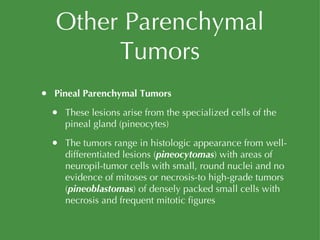 Other Parenchymal Tumors Pineal Parenchymal Tumors These lesions arise from the specialized cells of the pineal gland (pineocytes) The tumors range in histologic appearance from well-differentiated lesions ( pineocytomas ) with areas of neuropil-tumor cells with small, round nuclei and no evidence of mitoses or necrosis-to high-grade tumors ( pineoblastomas ) of densely packed small cells with necrosis and frequent mitotic figures 