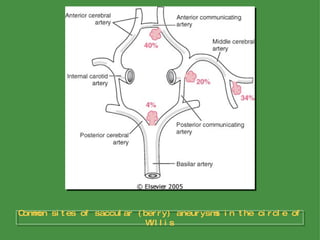 Common sites of saccular (berry) aneurysms in the circle of Willis 