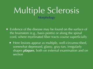 Multiple Sclerosis Evidence of the disease may be found on the surface of the brainstem (e.g., basis pontis) or along the spinal cord, where myelinated fiber tracts course superficially  Here lesions appear as multiple, well-circumscribed, somewhat depressed, glassy, gray-tan, irregularly shapes  plaques , both on external examination and on section Morphology 
